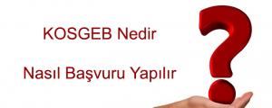 Bunu da Beğenebilirsin