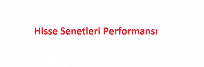 hisse senetleri borsa performansı