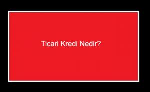 Bunu da Beğenebilirsin