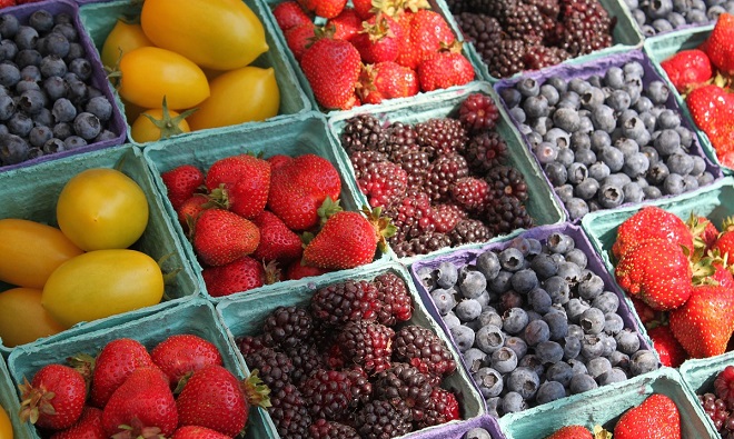 Tarım-Kredisi-Rehberi