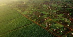 Bunu da Beğenebilirsin