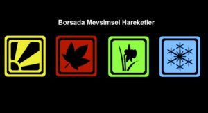 Bunu da Beğenebilirsin