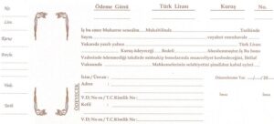 Bunu da Beğenebilirsin