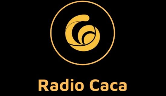 kripto-para-raca-coin