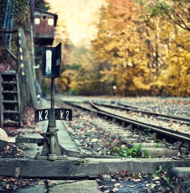 yurt dışı çıkış harcı