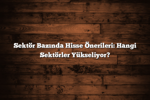 Bunu da Beğenebilirsin