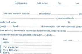 Boş Senet Örneği
