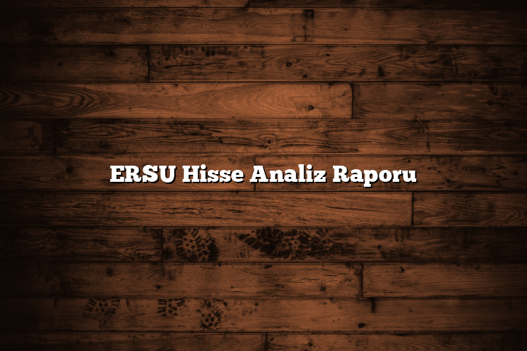 ERSU Hisse Analiz Raporu