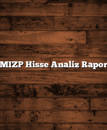FMIZP Hisse Analiz Raporu