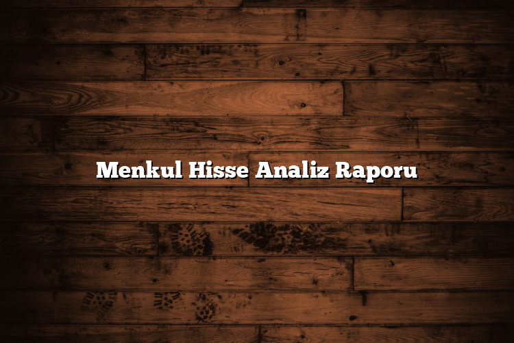 Menkul Hisse Analiz Raporu