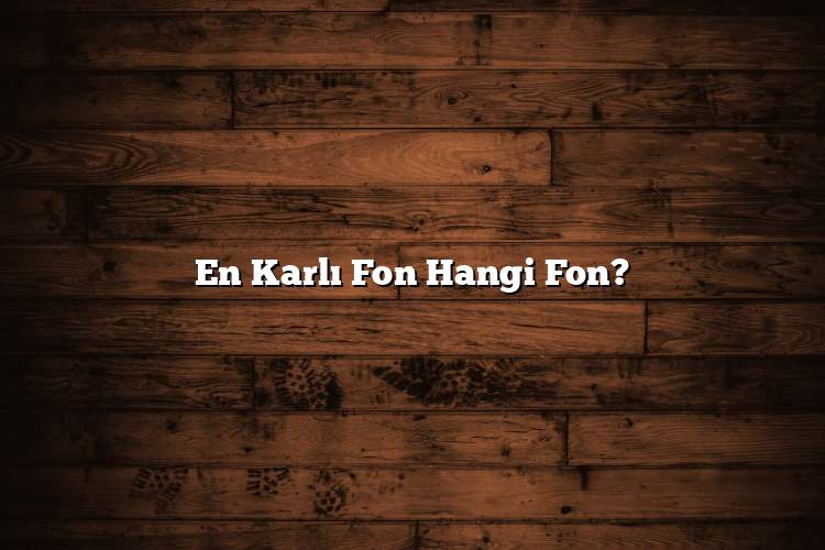 En Karlı Fon Hangi Fon?
