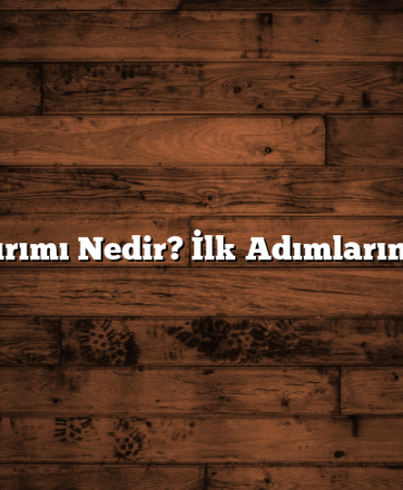Fon Yatırımı Nedir? İlk Adımlarınızı Atın