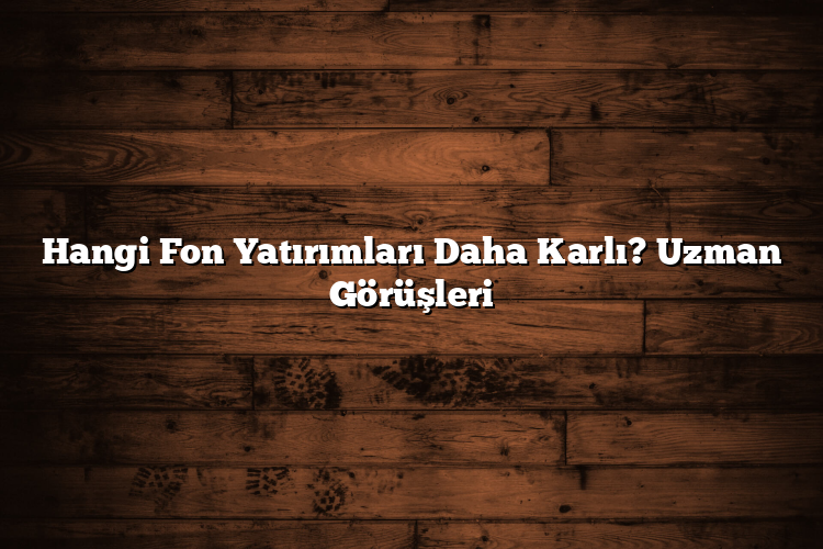 Hangi Fon Yatırımları Daha Karlı? Uzman Görüşleri Hangi Fon Yatırımları Daha Karlı? Uzman Görüşleri