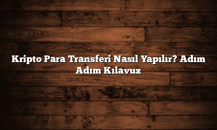 Kripto Para Transferi Nasıl Yapılır? Adım Adım Kılavuz