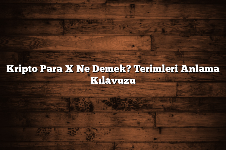 Kripto Para X Ne Demek? Terimleri Anlama Kılavuzu