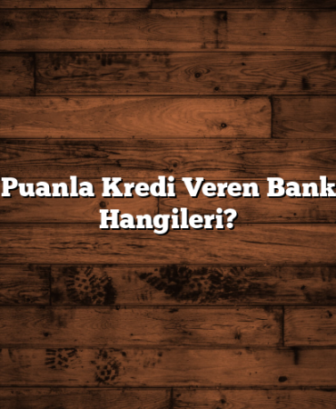 600 Puanla Kredi Veren Bankalar Hangileri?