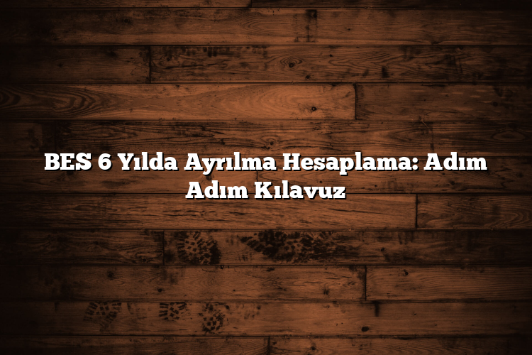 BES 6 Yılda Ayrılma Hesaplama: Adım Adım Kılavuz BES 6 Yılda Ayrılma Hesaplama: Adım Adım Kılavuz