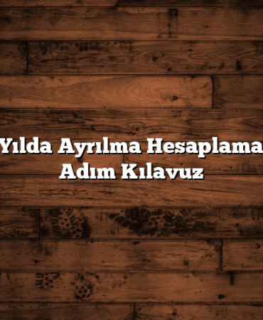 BES 6 Yılda Ayrılma Hesaplama: Adım Adım Kılavuz