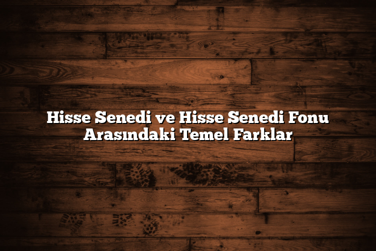 Hisse Senedi ve Hisse Senedi Fonu Arasındaki Temel Farklar