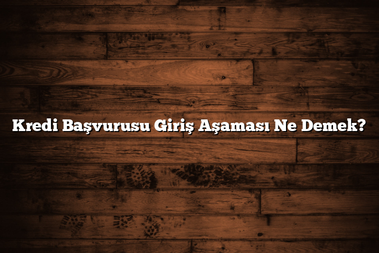 Kredi Başvurusu Giriş Aşaması Ne Demek?
