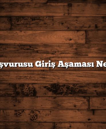 Kredi Başvurusu Giriş Aşaması Ne Demek?