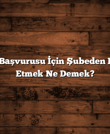 Kredi Başvurusu İçin Şubeden Devam Etmek Ne Demek?