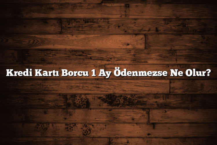 Kredi Kartı Borcu 1 Ay Ödenmezse Ne Olur? Kredi Kartı Borcu 1 Ay Ödenmezse Ne Olur?