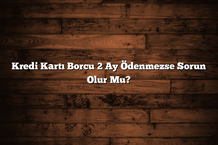 Kredi Kartı Borcu 2 Ay Ödenmezse Sorun Olur Mu?