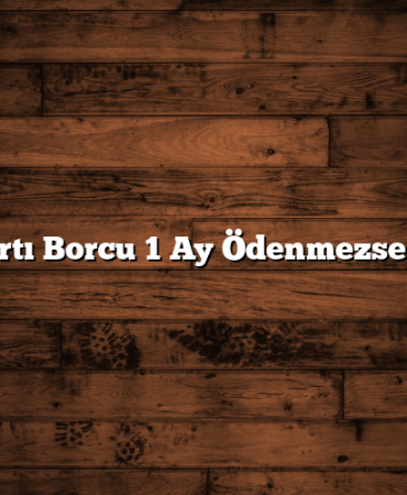 Kredi Kartı Borcu 1 Ay Ödenmezse Ne Olur?