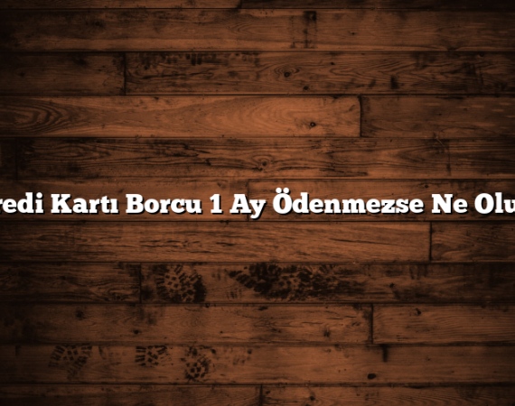 Kredi Kartı Borcu 1 Ay Ödenmezse Ne Olur?