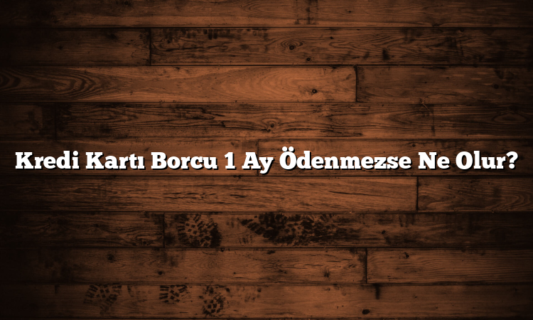 Kredi Kartı Borcu 1 Ay Ödenmezse Ne Olur?