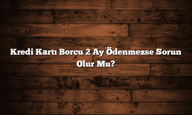 Kredi Kartı Borcu 2 Ay Ödenmezse Sorun Olur Mu?