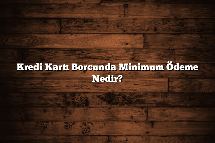 Kredi Kartı Borcunda Minimum Ödeme Nedir?