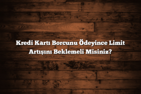 Kredi Kartı Borcunu Ödeyince Limit Artışını Beklemeli Misiniz?