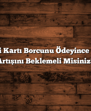 Kredi Kartı Borcunu Ödeyince Limit Artışını Beklemeli Misiniz?