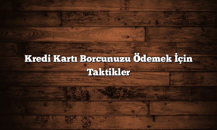 Kredi Kartı Borcunuzu Ödemek İçin Taktikler
