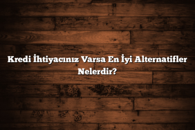 Kredi İhtiyacınız Varsa En İyi Alternatifler Nelerdir?