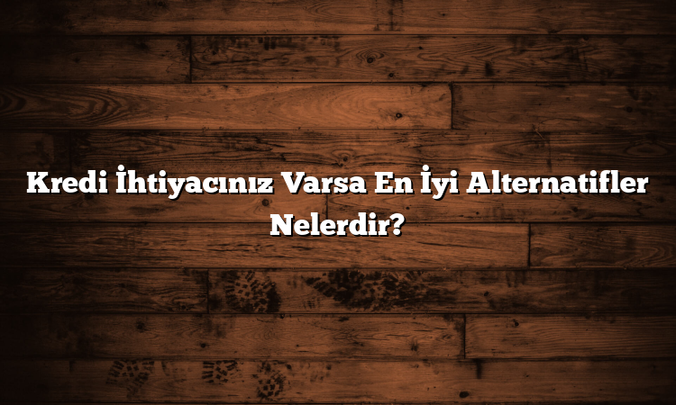 Kredi İhtiyacınız Varsa En İyi Alternatifler Nelerdir?
