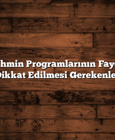 Borsa Tahmin Programlarının Faydaları ve Dikkat Edilmesi Gerekenler