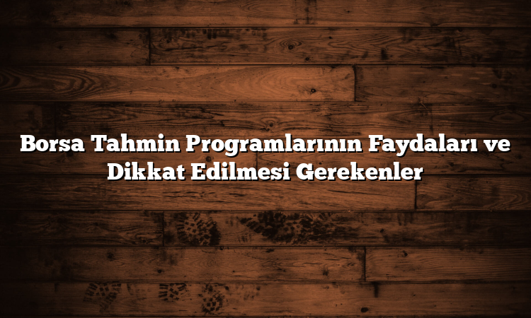 Borsa Tahmin Programlarının Faydaları ve Dikkat Edilmesi Gerekenler