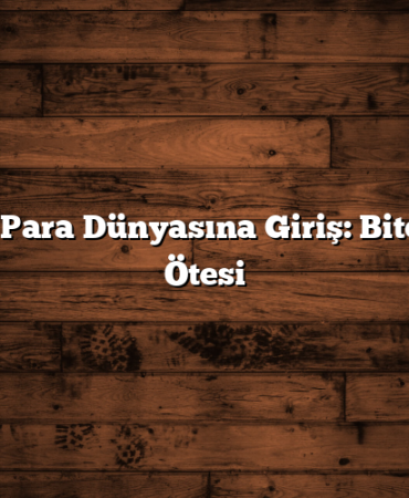 Kripto Para Dünyasına Giriş: Bitcoin ve Ötesi