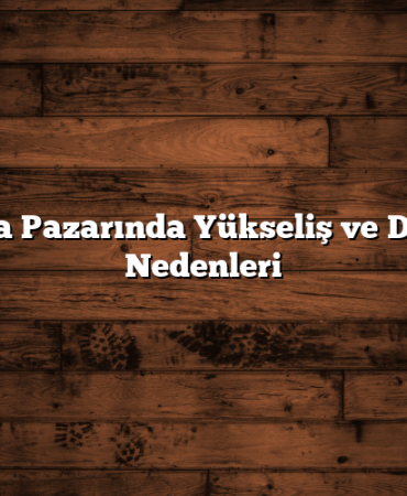 Borsa Pazarında Yükseliş ve Düşüş Nedenleri