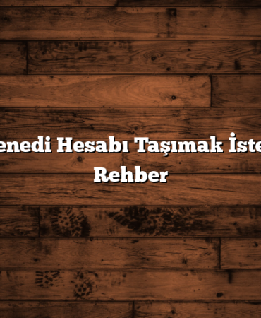 Hisse Senedi Hesabı Taşımak İsteyenlere Rehber