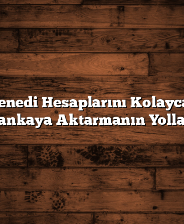 Hisse Senedi Hesaplarını Kolayca Başka Bankaya Aktarmanın Yolları