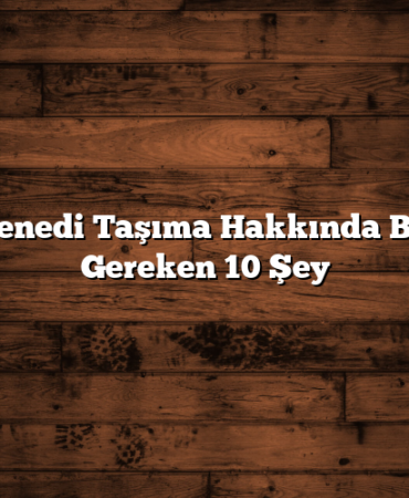 Hisse Senedi Taşıma Hakkında Bilmeniz Gereken 10 Şey