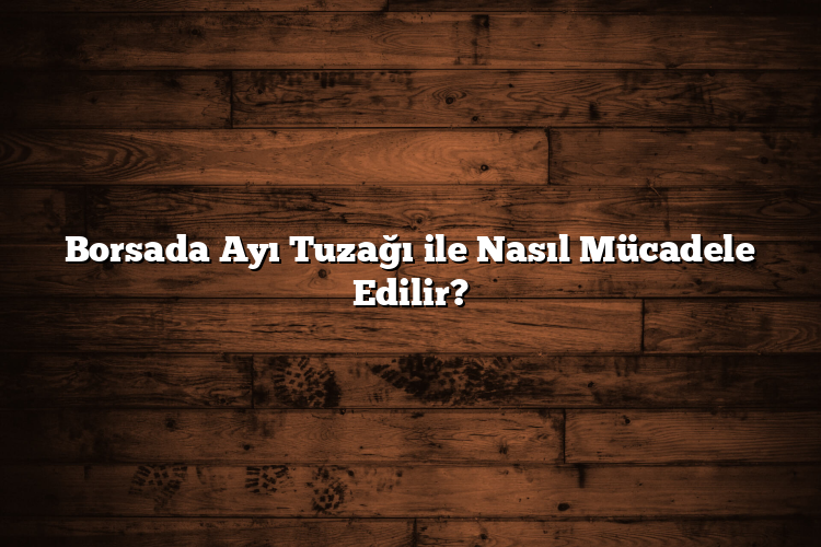 Borsada Ayı Tuzağı ile Nasıl Mücadele Edilir? Borsada Ayı Tuzağı ile Nasıl Mücadele Edilir?