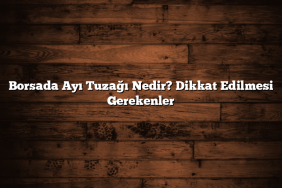 Borsada Ayı Tuzağı Nedir? Dikkat Edilmesi Gerekenler