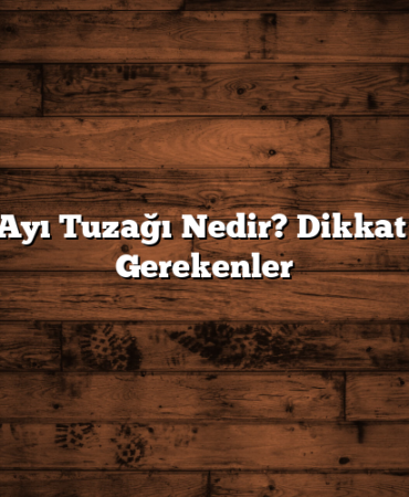 Borsada Ayı Tuzağı Nedir? Dikkat Edilmesi Gerekenler