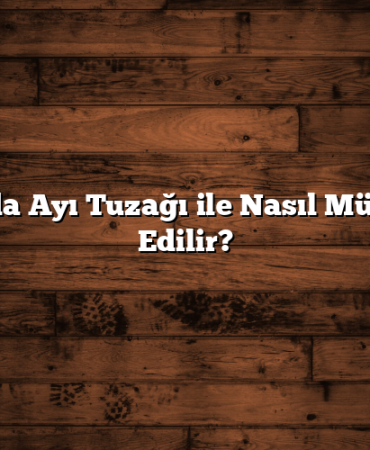 Borsada Ayı Tuzağı ile Nasıl Mücadele Edilir?