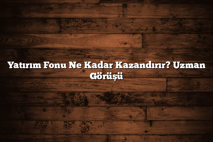 Yatırım Fonu Ne Kadar Kazandırır? Uzman Görüşü